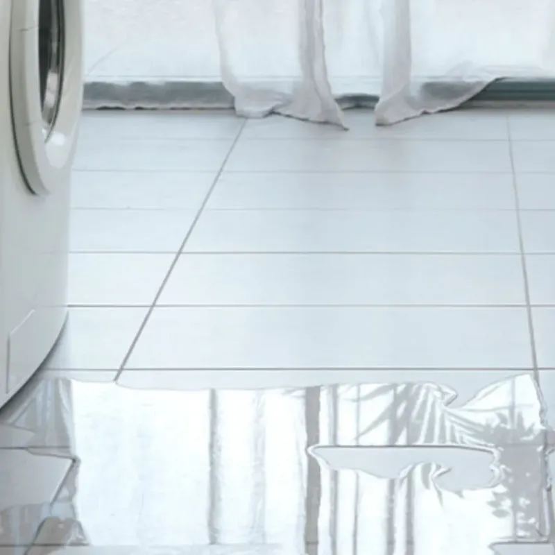 Appliance Leak Cleanup in Ware County, GA