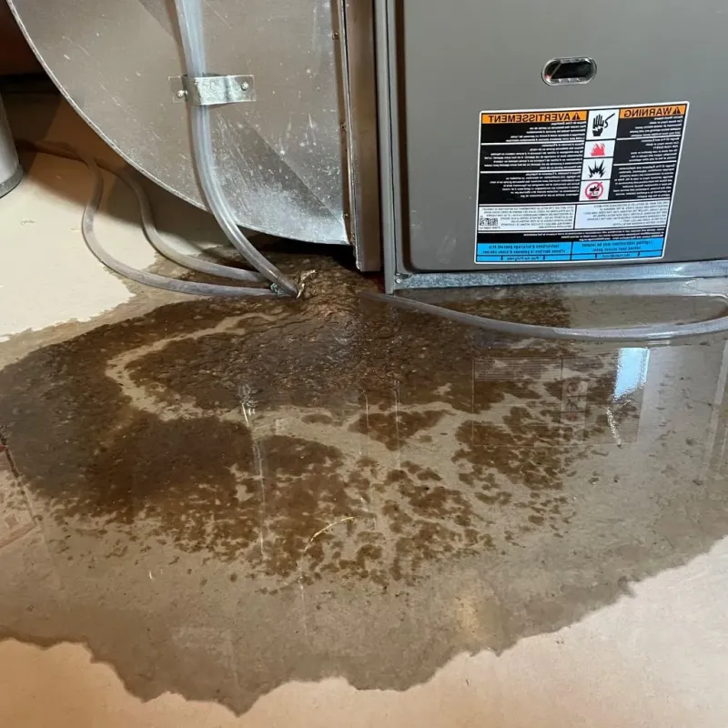 Pipe Burst and Leak Restoration in Ware County, GA