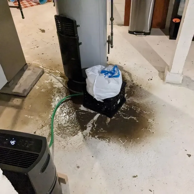 Sewage Backup Cleanup Service in Ware County, GA